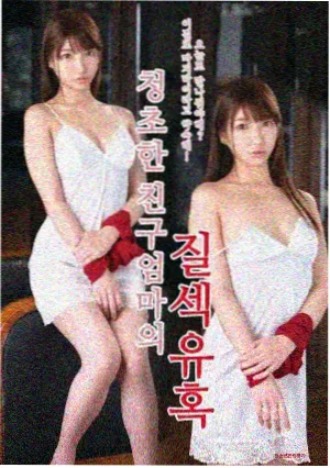 玫瑰的故事